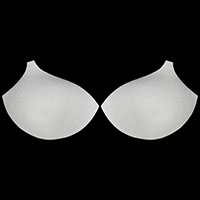 Lace Flower & Net Fabric Spacer Bra Cup